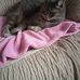 Anne Vidal - Facebook