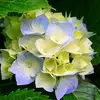 anne viennot - @anne.viennot - TikTok