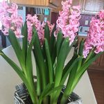 Anne Voigt - @avoigtmom - Instagram