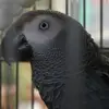 Anne Wallen - @anne.wallen5 - TikTok