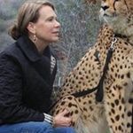 Anne Walton - @annewalton6808 - Instagram