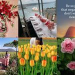 Anne D Wanta - @annedwanta - Instagram