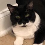 Anne Ward - @theadventures.of.anne - Instagram