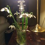 Anne Ward - @annewardbirr - Instagram