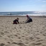 Anne Wareham - @warehama - Instagram