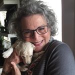 Anne Warfield - @cahw1207 - Instagram