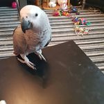 Anne Warren - @anne.warren.52056 - Instagram