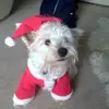 Anne Warren - @anne.warren82 - TikTok