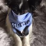 Anne Weaver - @anneweaver609 - Instagram