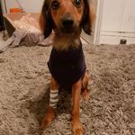 Anne Webster - @anne.webster.39 - Instagram