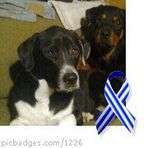 Anne Weinmann - Facebook