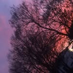 Anne Weinmann - @sonne_mond_sterni - Instagram
