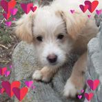 Annerose Weinmann - Facebook