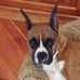 Anne Weinstein - Facebook