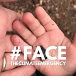 Anne Weißkopf - @anneweisskopf - Instagram