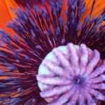 Anne Weitz - @weitzanne - Instagram