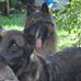 Anne Weitz-Heeland - Facebook