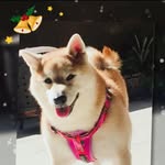 Anne  Weng - @annew149 - Instagram