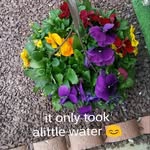 Anne Wentzell - @anne.wentzell - Instagram
