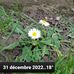 Anne-Marie Werle - Facebook