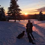 Anne Werner - @anne.werner.1428 - Instagram