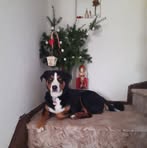 Anne Werner - Facebook