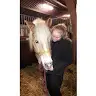 Anne Mees Wessel - @annemeeswessel - TikTok