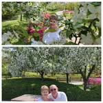 Anne Wessels - @wesselsanne - Instagram