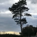 Anne-Marie Westerberg - @westerberg.annemarie - Instagram