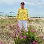 Anne-Mo Westerberg - @annemo4 - Instagram