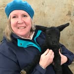 Anne Weston - @anneweston916 - Instagram