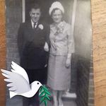 Anne Marie Whitehead - @anne.marie.whitehead - Instagram