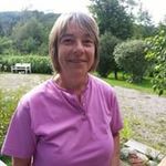 Anne Whitehead - @whitehead6257 - Instagram