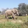 annewhitehead7 - @annewhitehead7 - TikTok