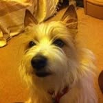 Ann Whiteman - @whiteman.ann - Instagram