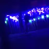 Anne - @anne.whiteman04 - TikTok