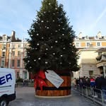 Anne Whiteman - @anne.whiteman.528 - Instagram