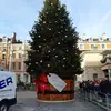 Anne Whiteman - @anne.whiteman - TikTok