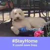 Anne Whiteman - @anne.whiteman8 - TikTok