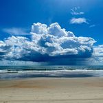 Anne Whitley Lawrence - @aclawren - Instagram