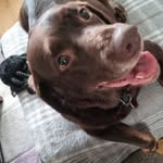 Ann Whitton - @annie_whitton - Instagram