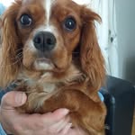 Ann Whitton - @whitton.ann - Instagram