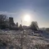 Penny Anne Whitton - @penny.anne.whitto - TikTok