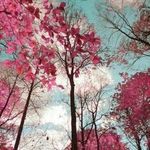 Anne Why - @anne.why.54 - Instagram