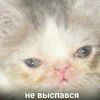 whyanne__ - @whyanne__ - TikTok
