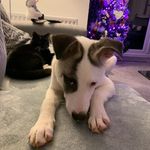 Anne Whyte - @annewhyte309 - Instagram