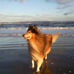 Anne Whyte - @anne_whyte - Instagram