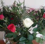 Anne Whyte - Facebook