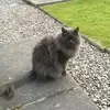 annewhyte5 - @annewhyte5 - TikTok