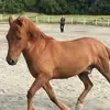 Ann Wicklund248 - @annwicklund248 - TikTok
